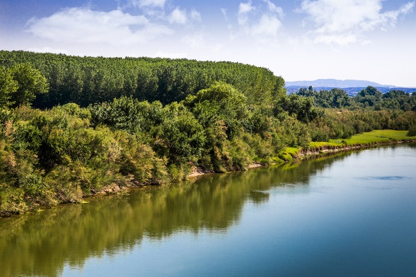 Río Ebro y su ribera con abundante vegetación en un día soleado