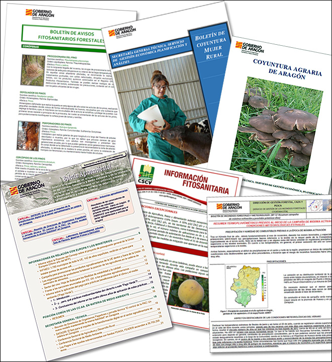 Varias portadas de las publicaciones del Departamento de Agricultura, Ganadería y Alimentación