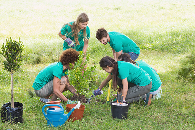 Grupo de 4 jóvenes en un campo plantando árboles