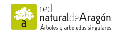 Logotipo de los árboles y arboledas singulares de Aragón