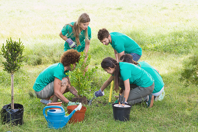 Cuatro jóvenes en un jardín están plantando unos árboles