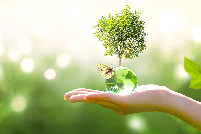 Mano sujetando una bola del mundo de cristal verde en la que hay una mariposa y un árbol