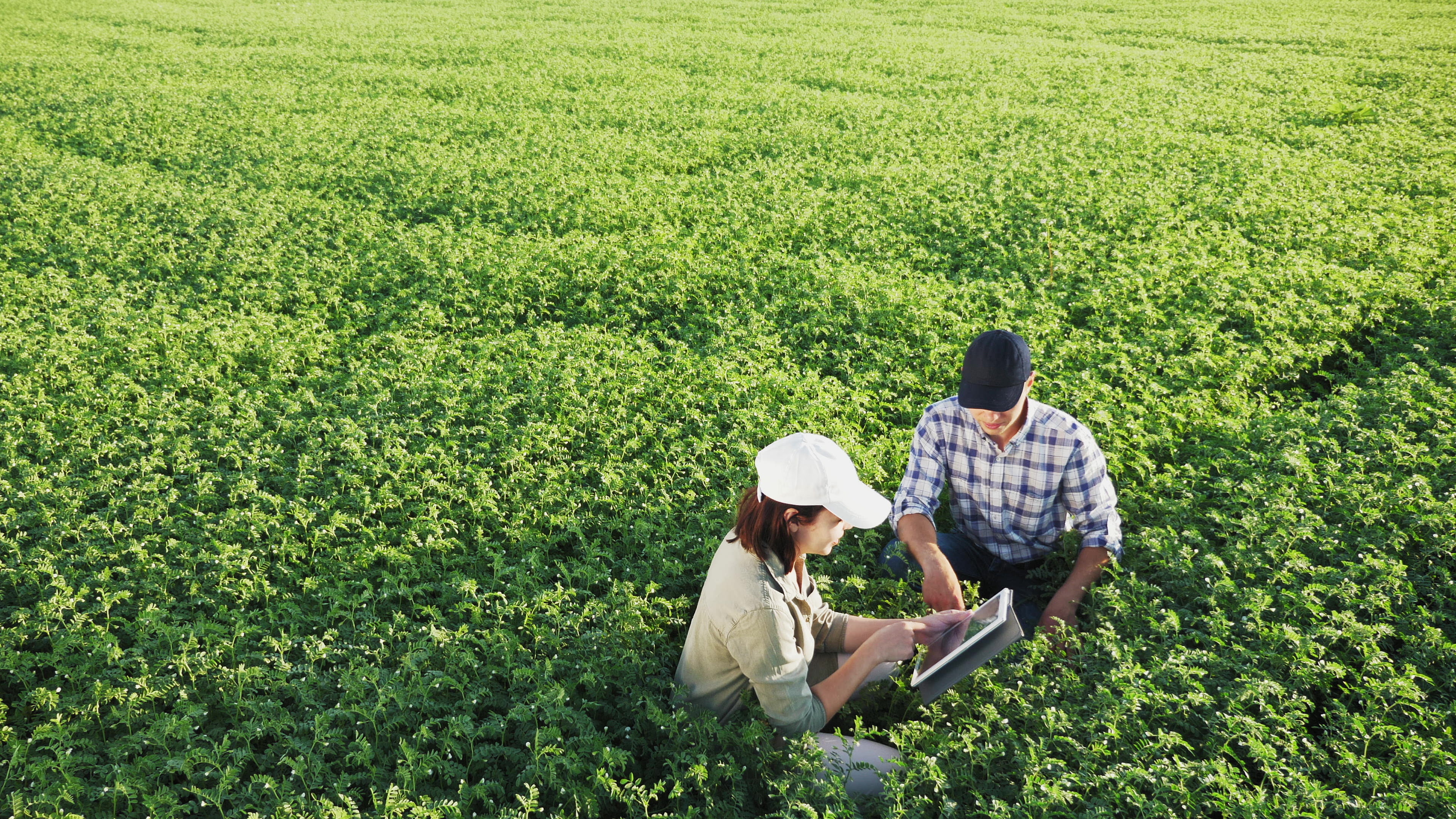 Dos personas, una de ellas con una tablet, en un campo de cultivo