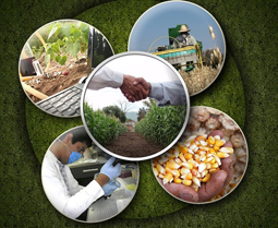 Grupo de imágenes relativas a la tecnología agroalimentaria