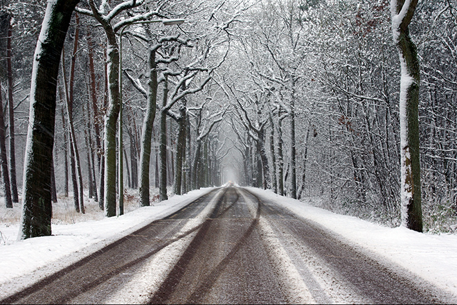 Carretera y árboles nevados