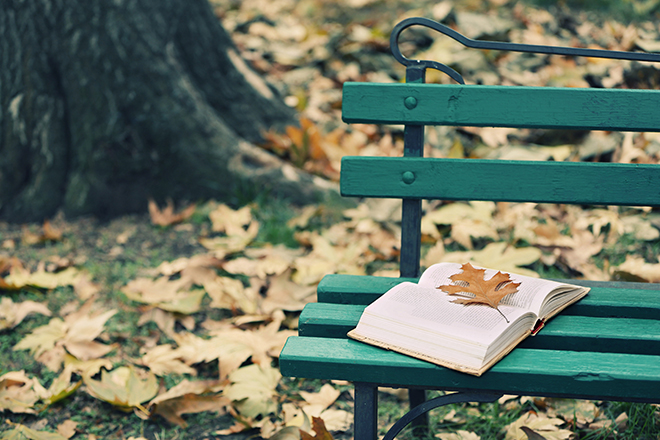 Hola de árbol, seca encima de libro que reposa sobre un banco en entorno otoñal