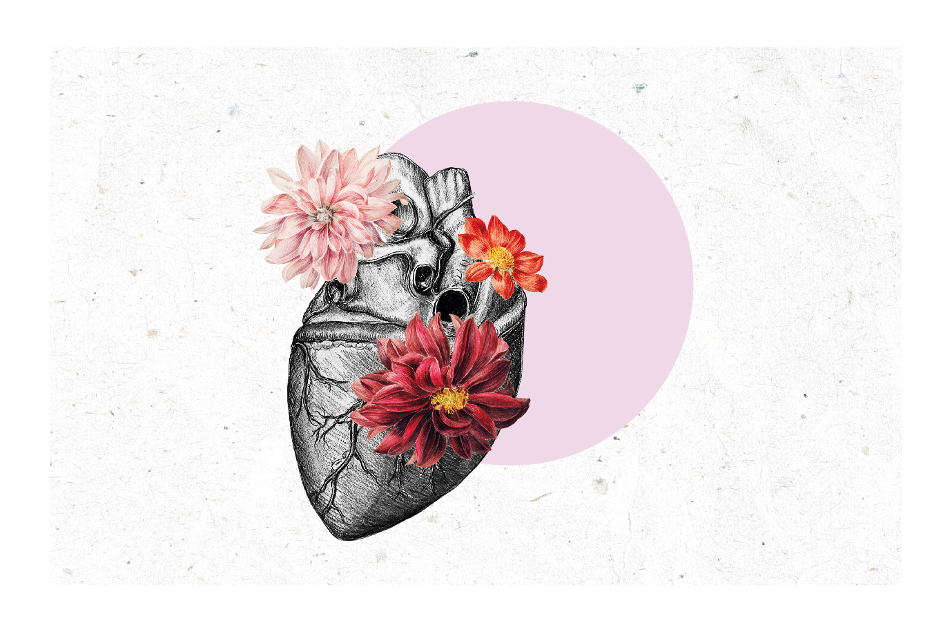 Sobre un círculo rosa, imagen de un corazón del que nacen unas flores.