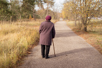 Una persona mayor de espaldas con un bastón va por un camino