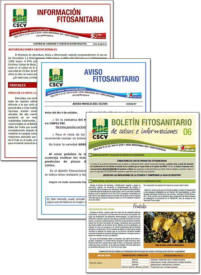 Portada del Boletín fitosanitario de avisos e informaciones