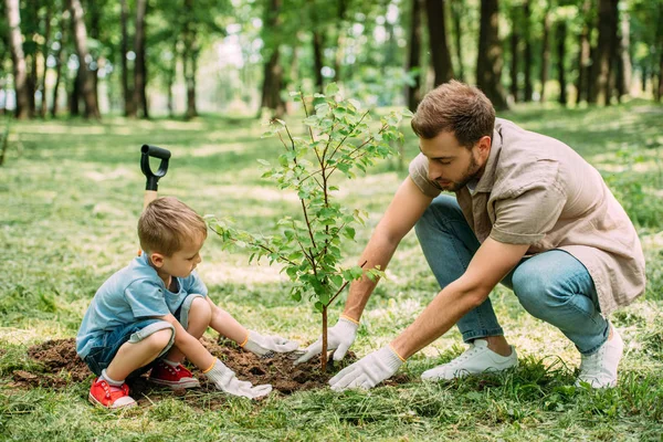 Un niño y su padre plantan un árbol en un entorno natural