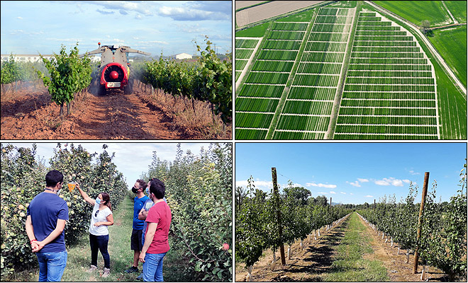 Conjunto de imágenes: aplicación de fitosanitarios, parcelas de ensayo, jornada de formación, plantación de material vegetal