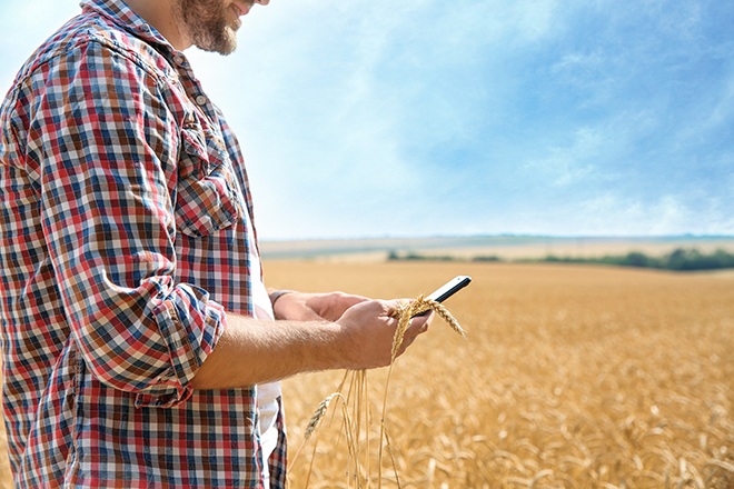 Joven agricultor en un campo de trigo con un teléfono móvil