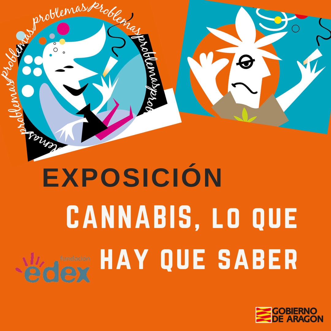 Exposición 