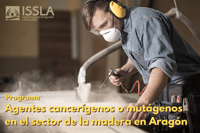 Programa Agentes cancerígenos o mutágenos en el sector de la madera en Aragón