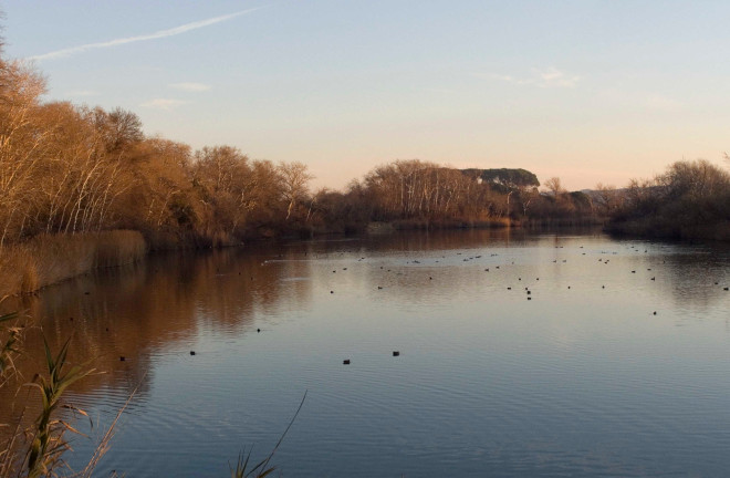 Galachos del Ebro