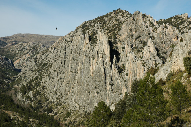 Monumento Natural de los Órganos de Montoro