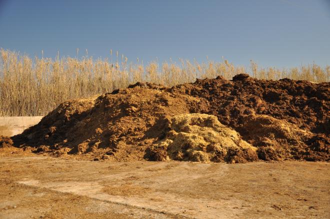 Acopio de estiécol con cama de paja