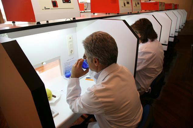 Dos personas catando aceite en cabinas de cata