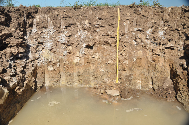 Corte de un suelo agrícola con agua en el fondo