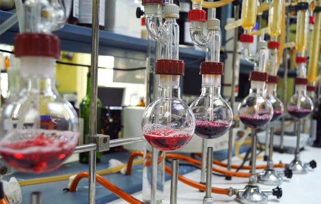 Análisis de vinos en laboratorio
