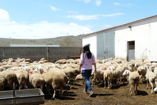 Mujer trabajando en explotación ganadera