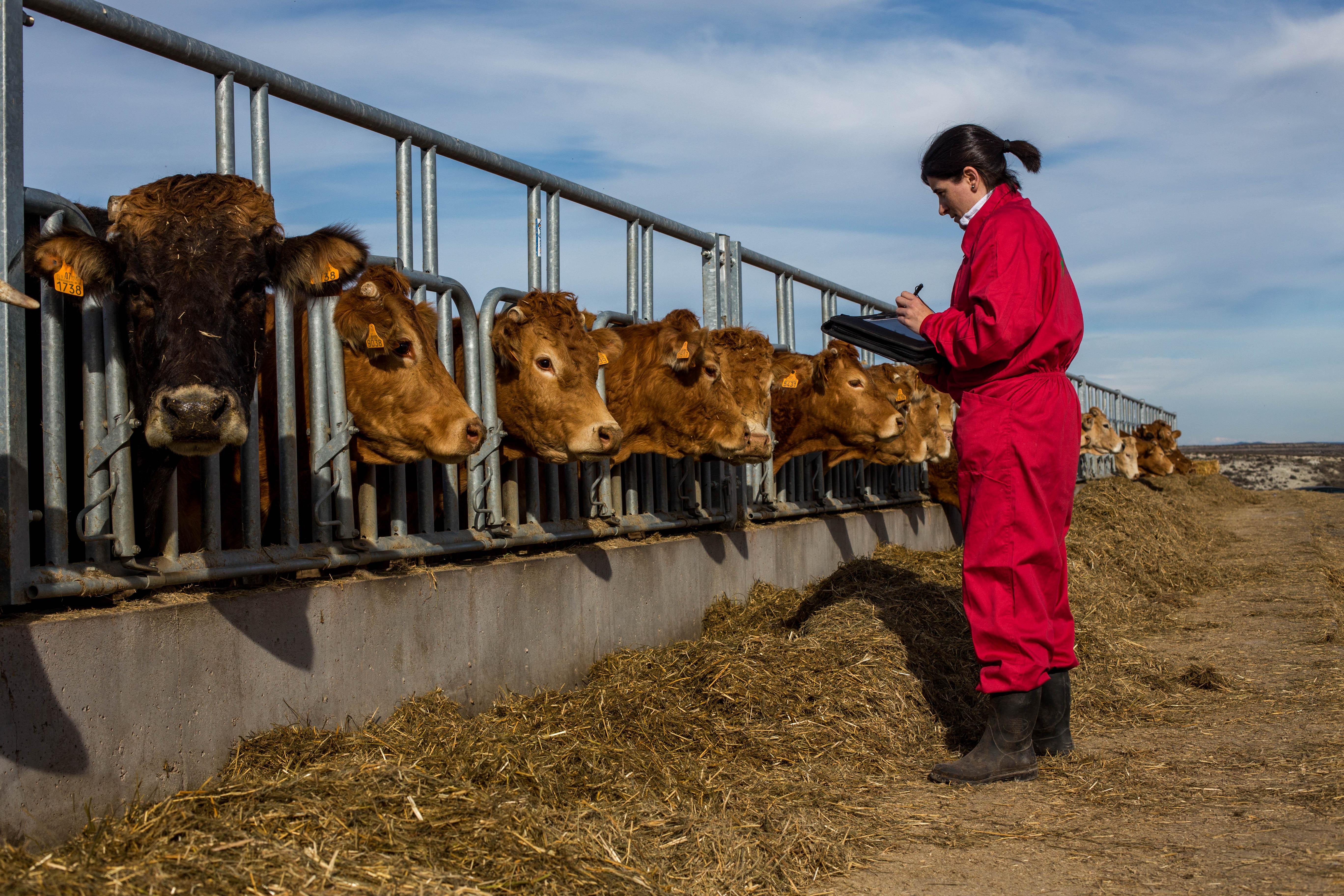Mujer rural en Aragón