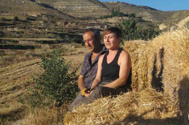 Agricultor y agricultora en una explotación agraria.