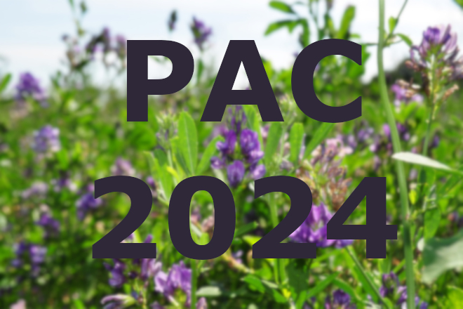 PAC 2024