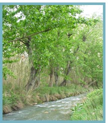 Imagen del Paraje de Alcaine en el Río Martín