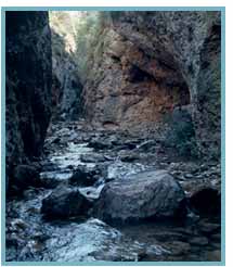 Barranco de Valcongosto del río Isuela. 