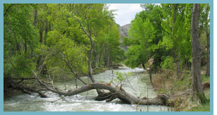 Imagen del río Guadalope , del paraje La Algecira