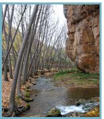 Imagen de las hoces del río Mesa.