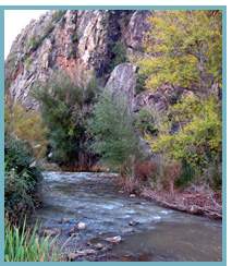 Tramo meandriforme del Río Jalón en el municipio de Purroy, Comarca de Calatayud.