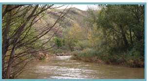 Río Jalón en  Villanueva de Jalón.