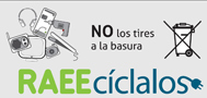 img campaña RAEES 2013