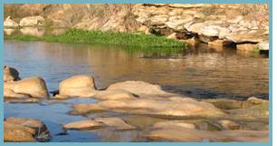 Imagen de los ríos Algars y Matarraña en los municipios de Maella, Fabara y Nonaspe.