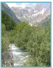 Río Cinca. Valle de Pineta. 