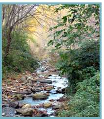 Imagen del paraje de las Cuevas del río Huecha, en el municipio de Añón.