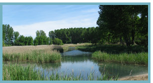  Imagen del Río Jiloca. Ojos de Monreal 