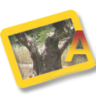 Icono con un árbol y una A