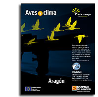 imagen Aves y Clima