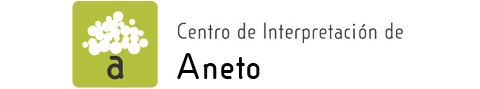 Logo Centro Interpretación Aneto