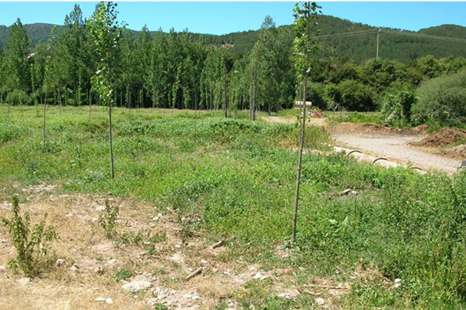 Foto de la parcela donde se ubicarán las instalaciones de la estación depuradora de aguas residuales