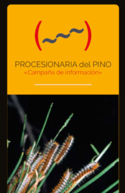 Procesionaria del pino