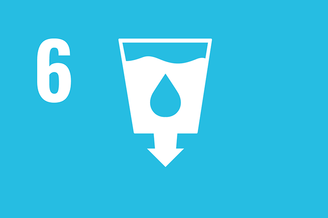ODS número 6