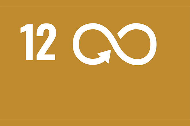 ODS número 12