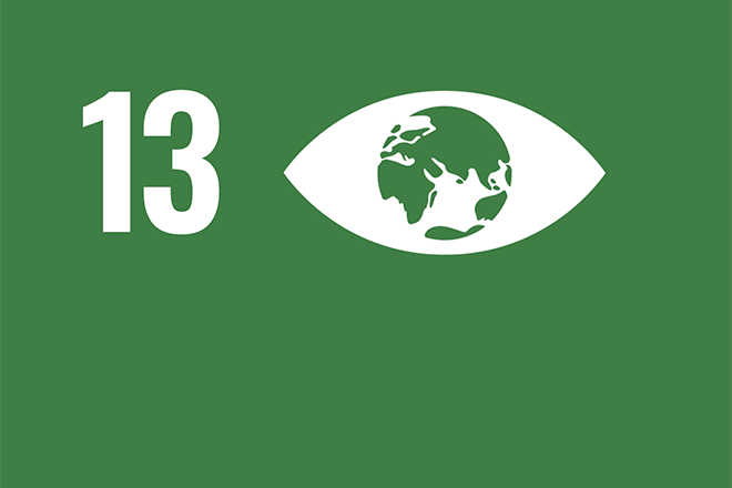ODS número 13