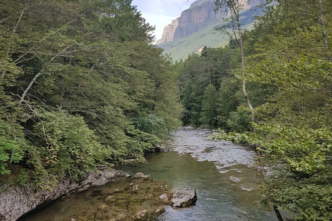 Imagen de un río de montaña con arbolado en ambas orillas y montañas al fondo