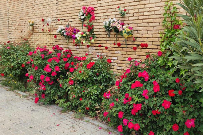 Tapia del Cementerio de Torrero con rosales y ramos de  flores