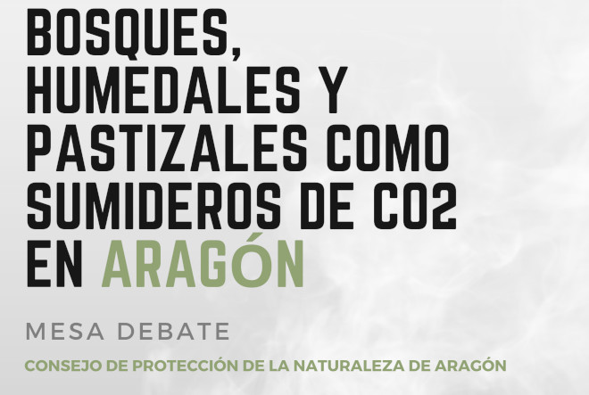 Cartel de la mesa debate Sumideros de CO2